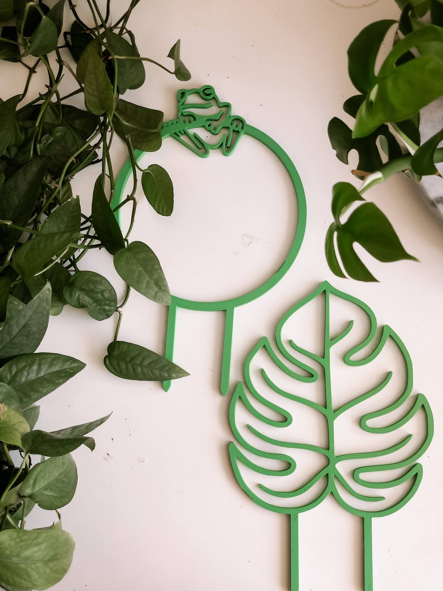 Monstera Leaf Indoor Houseplant Trellis