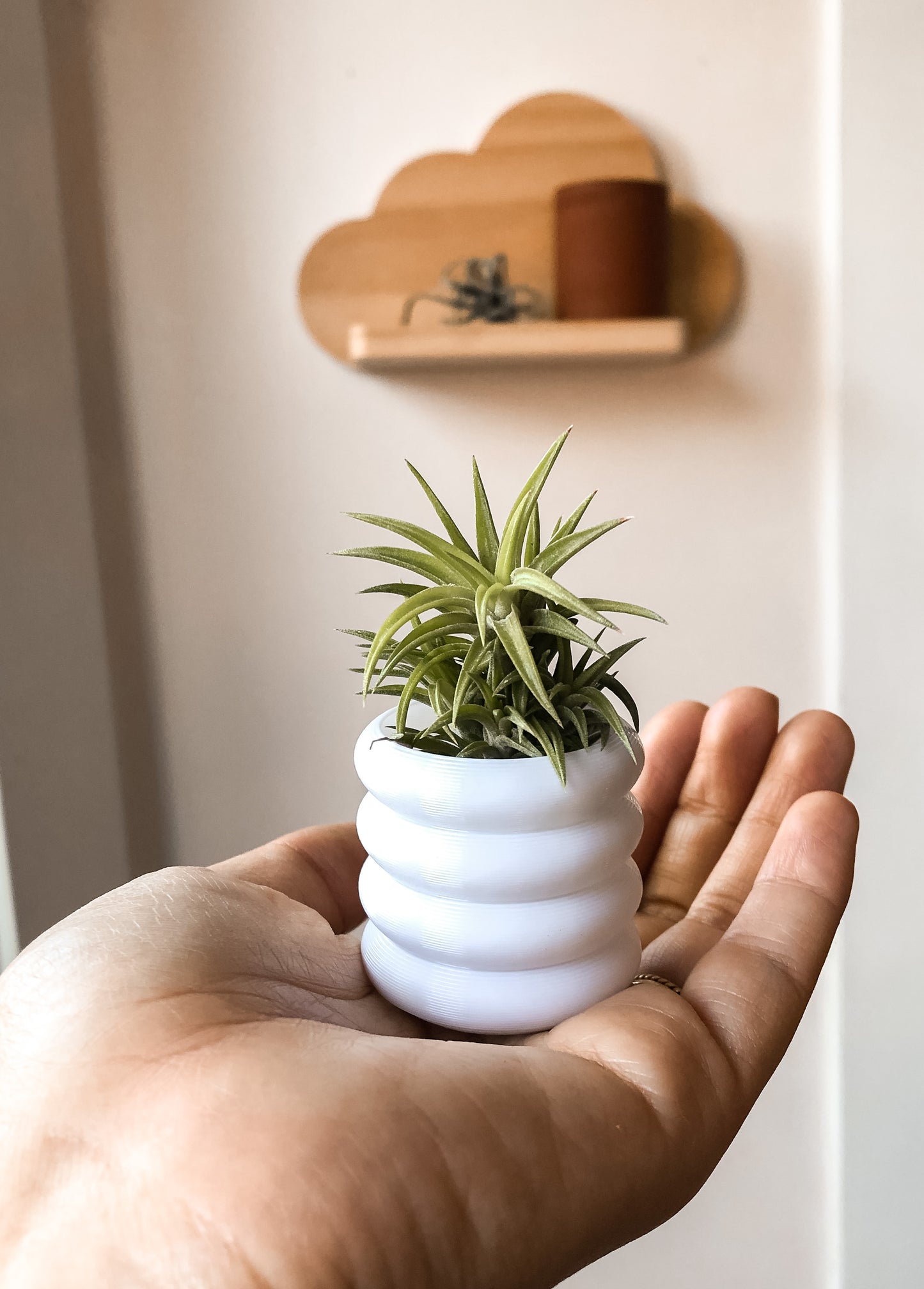 Miniature 3D printed planter