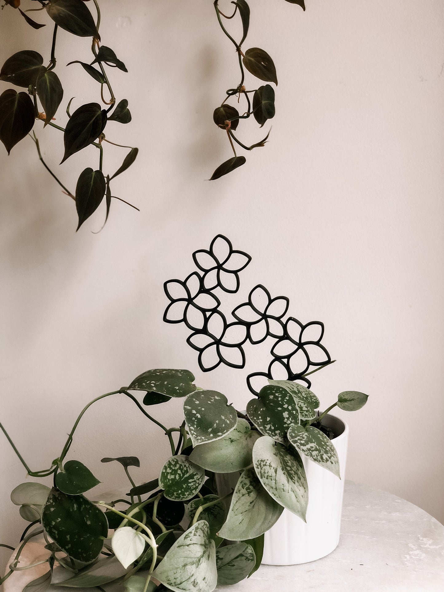 Plumeria Indoor Houseplant Trellis or Decoration | 3D printed, multiple colors & sizes  available | Plant | Planter | Flowers