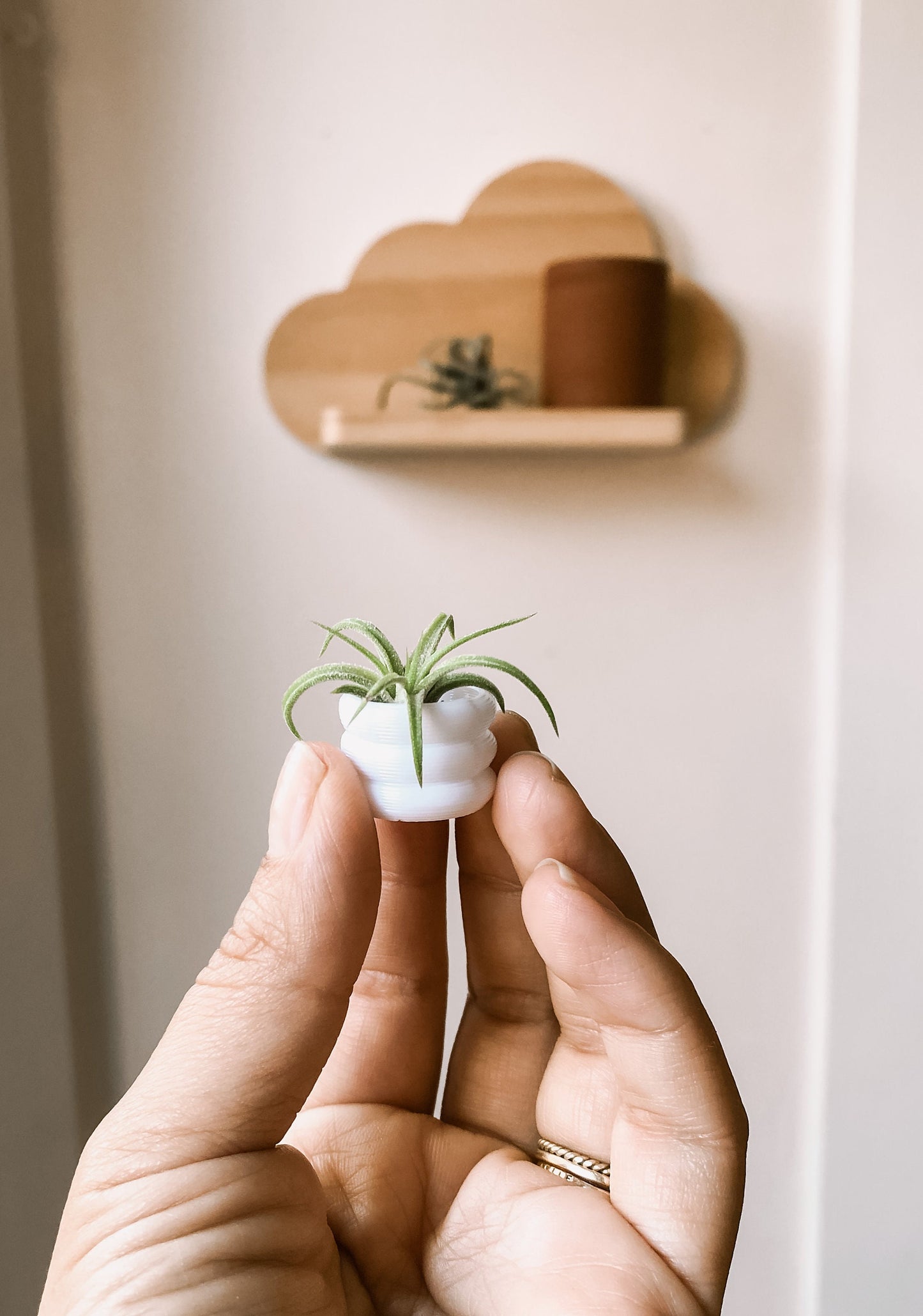 Teeny tiny pot I 3D printed planter I multiple colors available