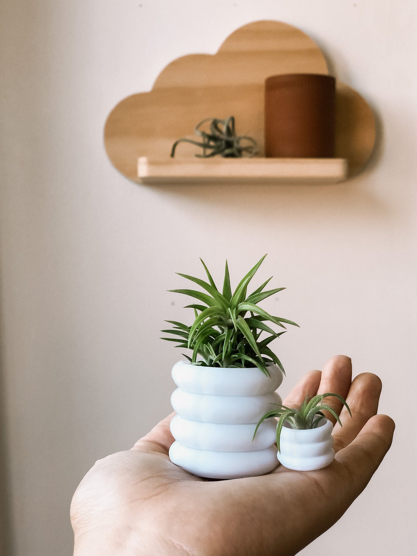 Teeny tiny pot I 3D printed planter I multiple colors available