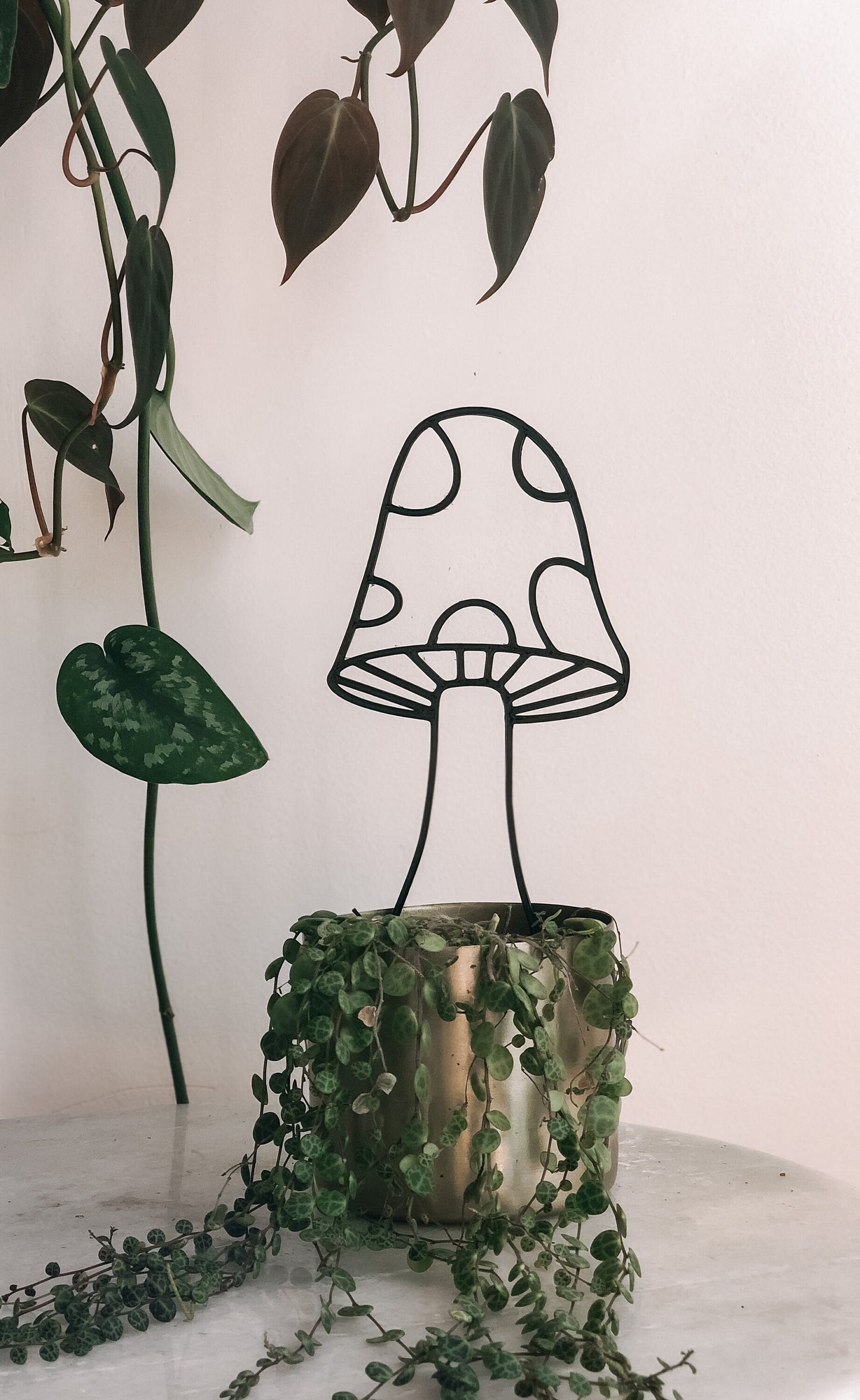 Mushroom Indoor Houseplant Trellis
