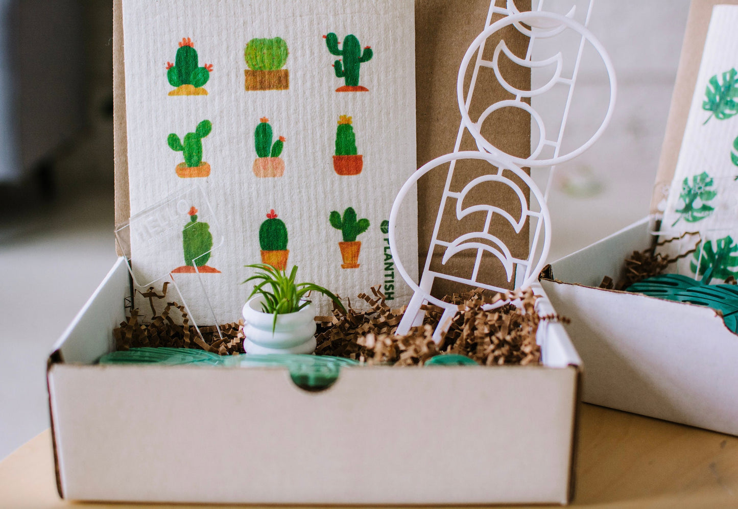 Plant Lover Gift Box