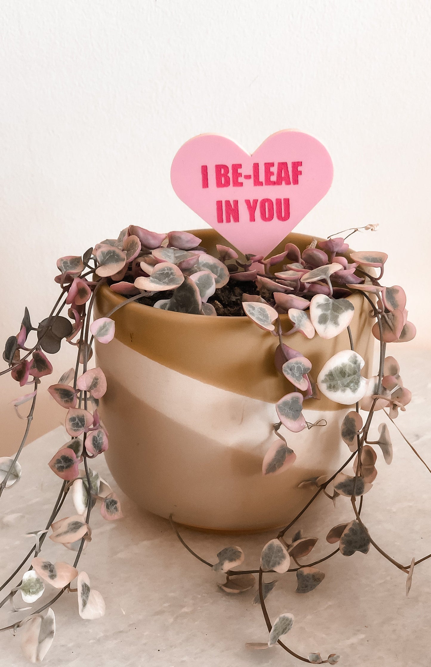 Conversation Heart Plant Stake | Plant Tag | Sweetheart