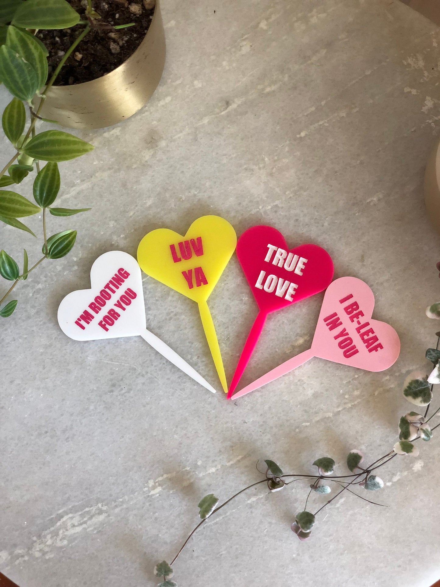 Conversation Heart Plant Stake | Plant Tag | Sweetheart