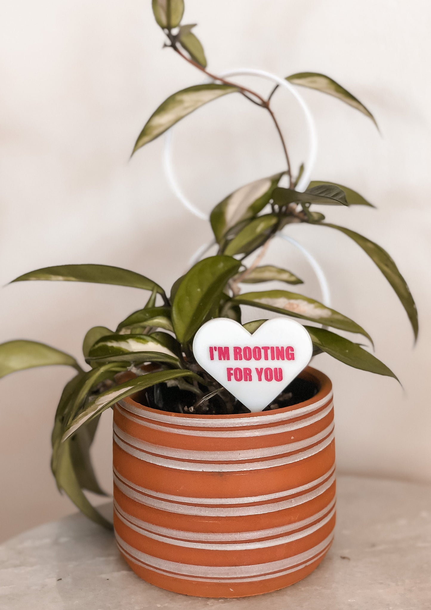 Conversation Heart Plant Stake | Plant Tag | Sweetheart