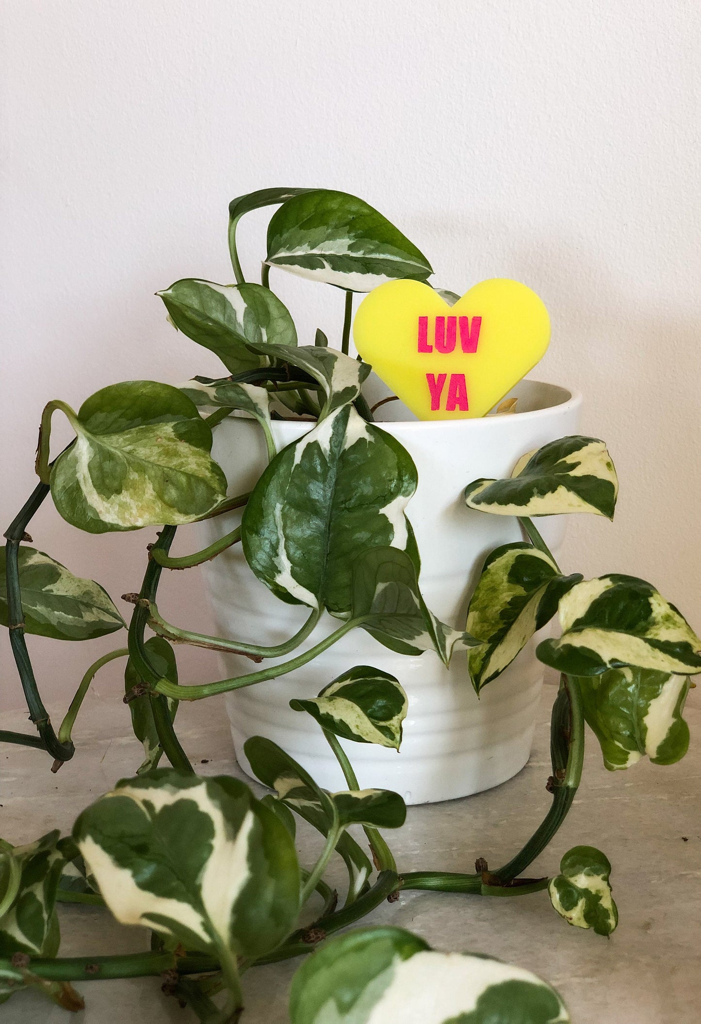 Conversation Heart Plant Stake | Plant Tag | Sweetheart