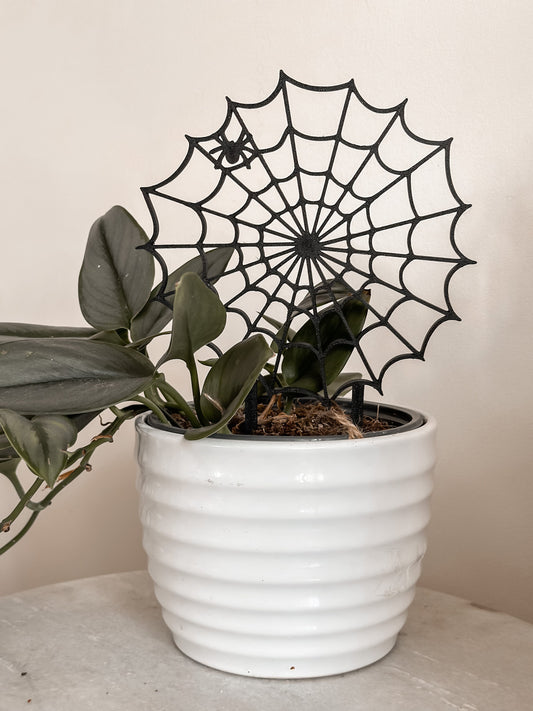 Spiderweb Houseplant Trellis