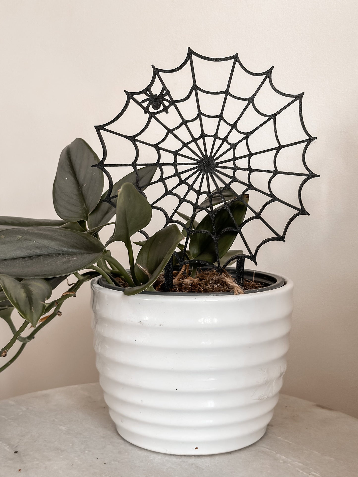 Spooky Houseplant Trellis Bundle